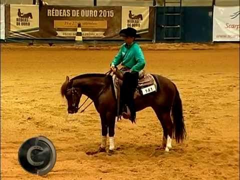 Campeão Rédeas de Ouro 2015 Categoria Aberto - Lindaço da Emaisa e Gilson Diniz Filho - 217 pontos!