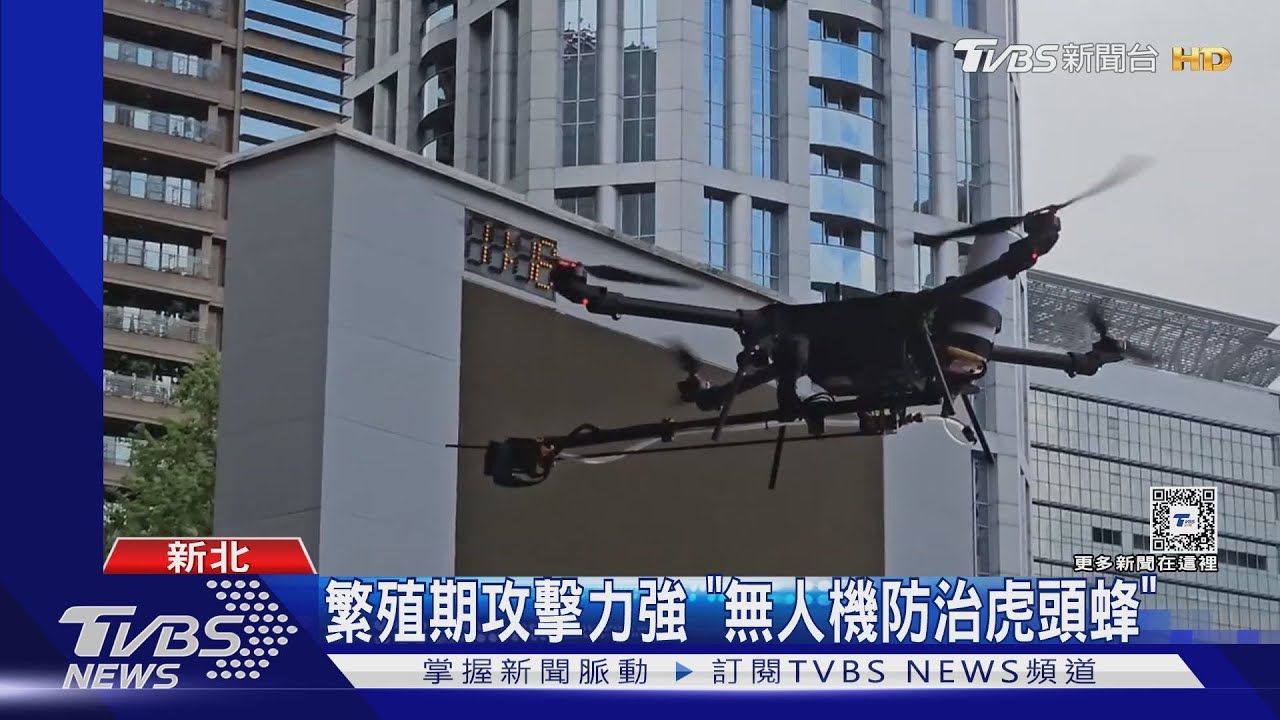 繁殖期攻擊力強　「無人機防治虎頭蜂」