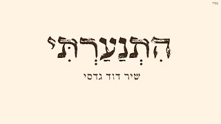 שיר דוד גדסי | הִתְנַעַרְתִּי