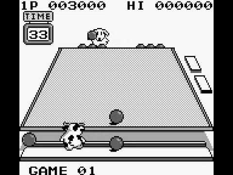 King of the Zoo Game Boy