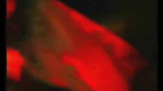 Monster Mash / Great Balls of Fire - Return to the Forbidden Planet