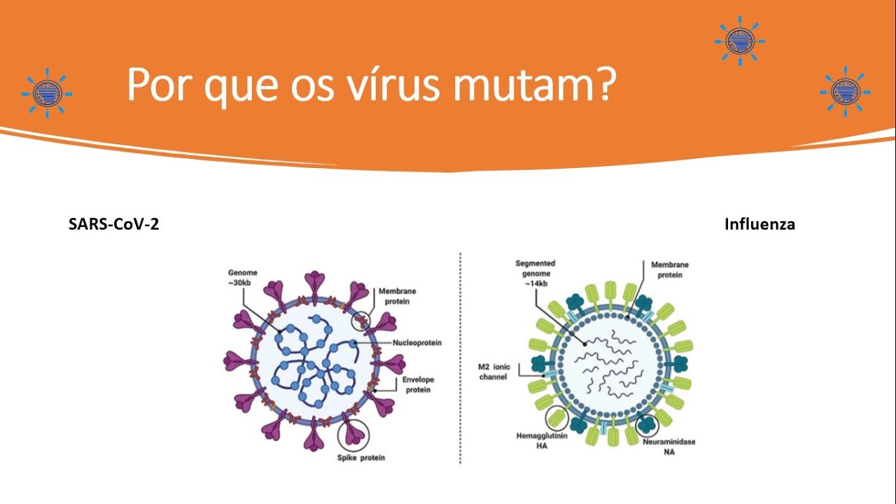 Por que os vírus mutam?