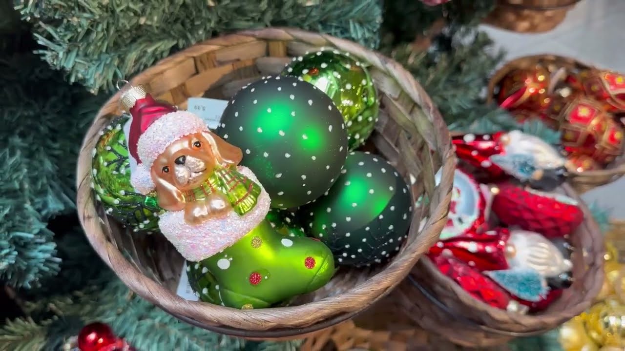 Vorschaubild des Videos auf YouTube