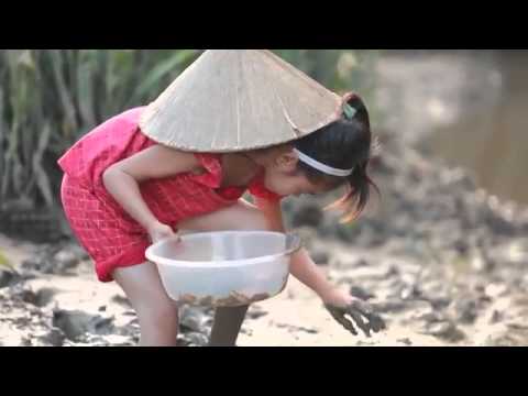 Phim ngắn Trung Thu, mình đã khóc khi xem video này