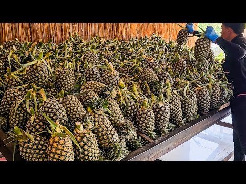 Amazing! Tropical Fruit Experience Center, Fruit Cutting Skills