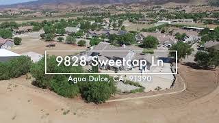9828 Sweetcap Ln, Agua Dulce, CA 91390