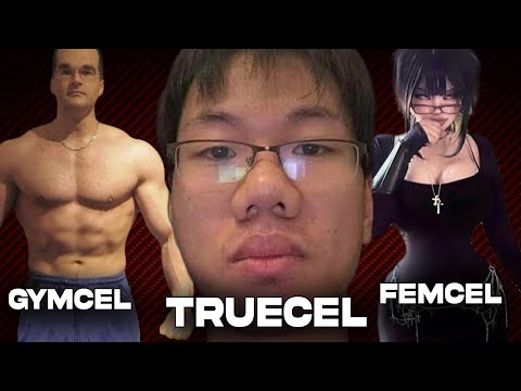 Types of Incels Explained