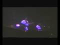 New Order All The Way - Reading 89
