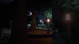 Download lagu 🌃 #moonlight #fujikohemming #claude #debussy mp3 Download lagu 🌃 #moonlight #fujikohemming #claude #debussy mp3