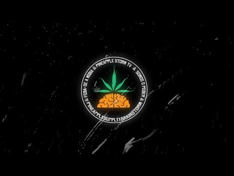 Pineapple x A Banca Rec  - Única Saída ( Da Paz | Dudu | Ducon | Mazin | Black | Chris Mc )
