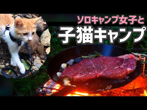 夏の女子ソロキャンプ 子猫と過ごす最高の時間 自然の食材と夏野菜を使った激ウマキャンプ飯 子猫チューブ 子猫