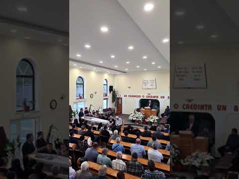 Momentele Revederii Vor fi deosebite  cu fratele  Senescu Orest!