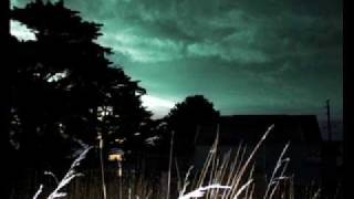 PINK FLOYD ::: Lost for Words