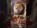 HUNTED To EXTINCTION Barbary Lions ️