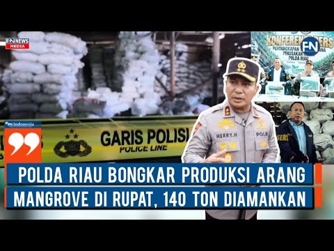 Polda Riau Bongkar Produksi Arang Mangrove di Rupat, 140 Ton Diamankan