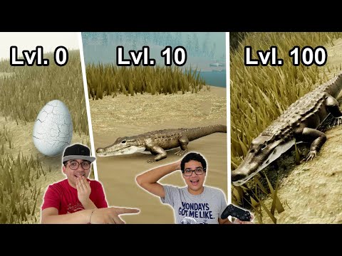 CICLO DE VIDA DE UM JACARÉ!!! (filhote ao adulto)