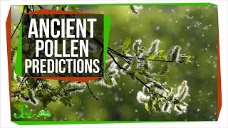 How Ancient Pollen Can Predict The Future