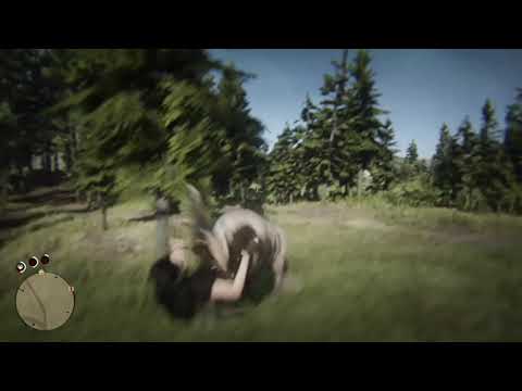 Red Dead Online When Animals Attack