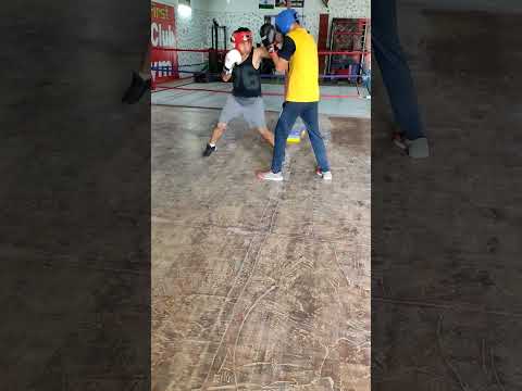 Punching Pad