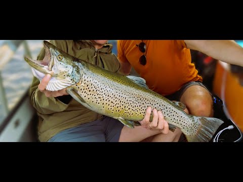 Inarijärvi 2025 - Vetouistelu