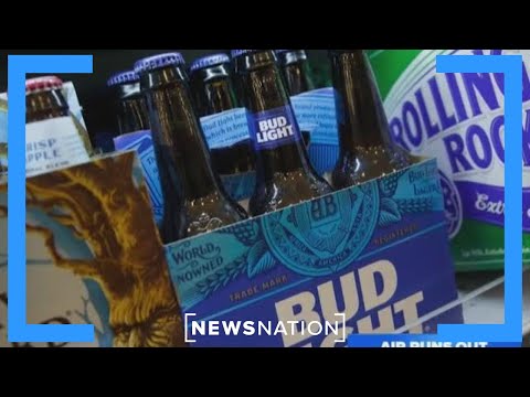 Why did Dylan Mulvaney's endorsement lead to backlash against Bud Light? | Morning in America