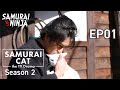 Samurai Cat Season 2 Full Episode 1 SAMURAI VS NINJA English Sub