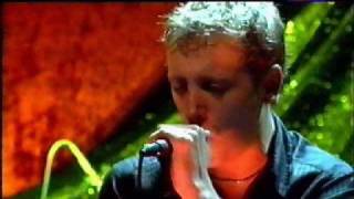 Paradise Lost - Permanent Solution