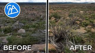 Landscape Photo Editing (No Talking) | Tasmanian Wilderness