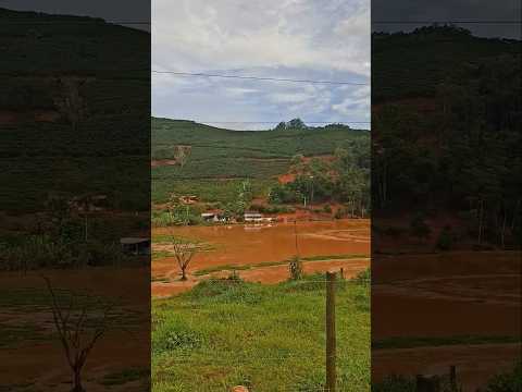 Rio São Domingos Pequeno Brejetuba Espírito Santo 02/02/26
