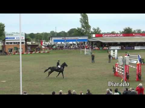 Diarado - english - 2017