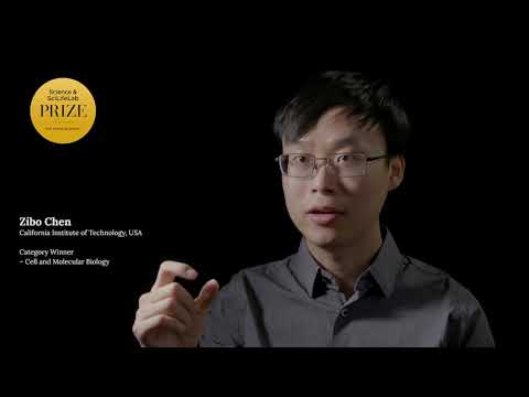 Zibo Chen, Category Winner 2019 – Cell and Molecular Biology