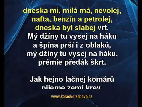 Nafta, benzín a petrolej - František Nedvěd Karaoke tip