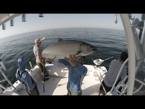 Raw Salmon Fishing Strikes (Triple headers)