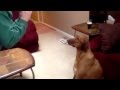 Ruby Singing The Blues