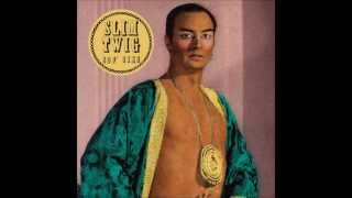 SLIM TWIG - Bold Is The White Ship