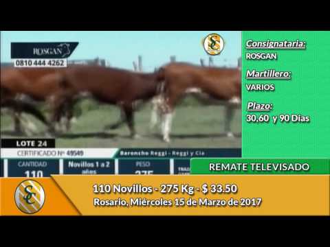 15-03-17 - Venta de Novillos -  Remate Televisado del ROSGAN - Rosario