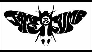 Jame Gumb- After Dinner Mince