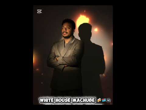 White House machube dj nedz