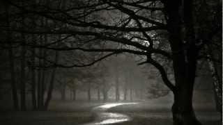 Monsters- The Gathering