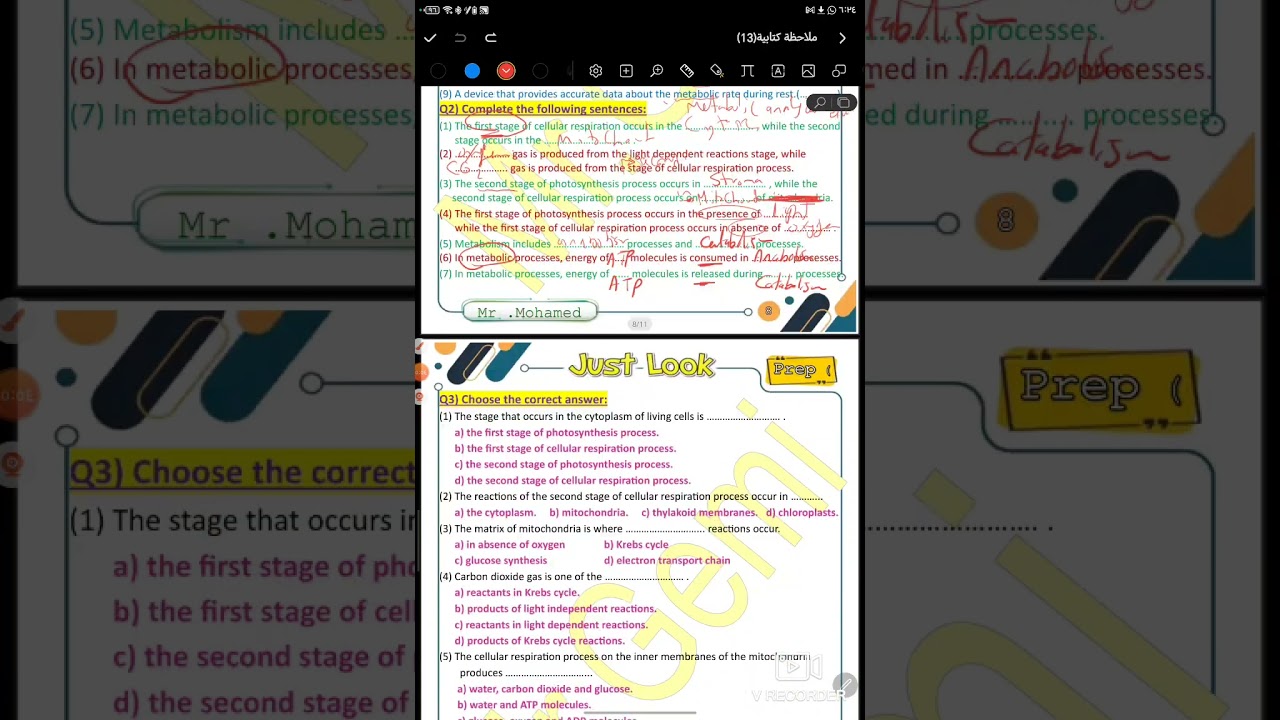 Prep 2 , Worksheet 14