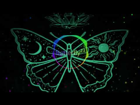 Butterfly²³ - Acid Melody
