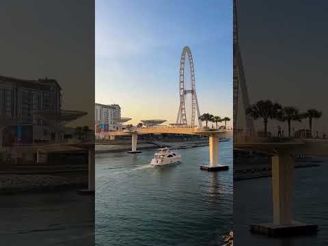 Amazing_Dubai_✨🇦🇪__🎥_@dubai0006 #chicago #chicagobears #chicagovlog