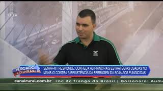 Miniatura do vídeo