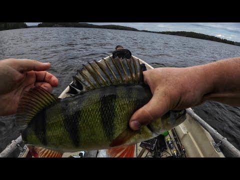 AHVENEN JIGAUS | PAIKKATYYPIT KARTALTA | YLLÄTYS SAALIS KATISKASTA