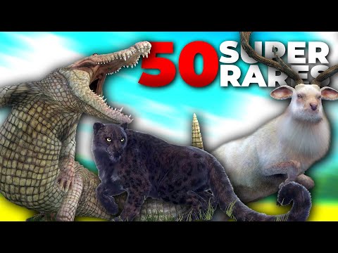 Er hat 50+ SUPER RARES in theHunter nur duch "Tutorial" Videos! 🤣