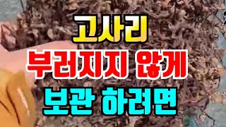 고사리 이렇게 하면 빨리 마르고 부드럽습니다. 고사리 보관 편하게 하려면 반드시 #고사리말리는방법 #고사리삶…