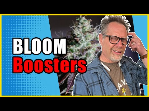 Don't Add Bloom Boosters to Your Cannabis Grow Until You Watch THIS