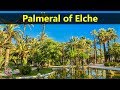 Best Tourist Attractions Places To Travel In Spain | Palmeral of Elche Destination Spot