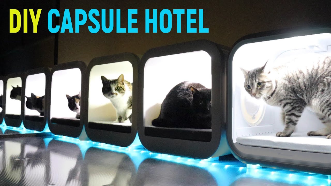DIY CAPSULE HOTEL / Drybo Plus Pet Hair Dryer