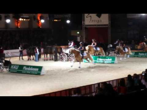 Pferdemesse in wels 😊